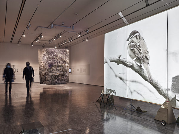 In a large gallery, the black-and-white image of a bird perched on a bare branch is projected onto a large screen. Two visitors walk toward the projected image.